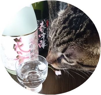 彼方桜酒.jpg